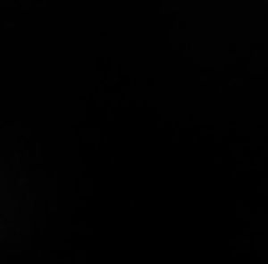 Meet your Posher, George